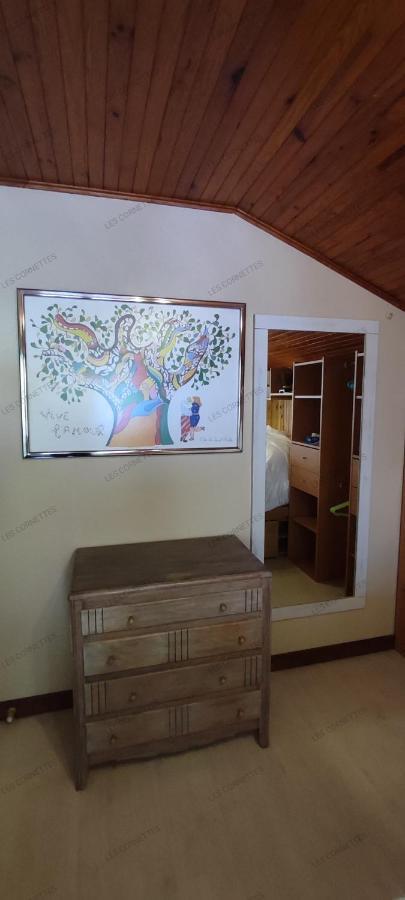 Appartement Meuble Classe 3 Etoiles De 72 M2, 2 Chambres Morzine Exterior photo